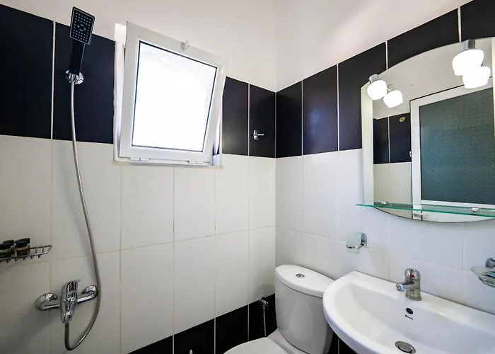 Nomia * 卡萨米尔