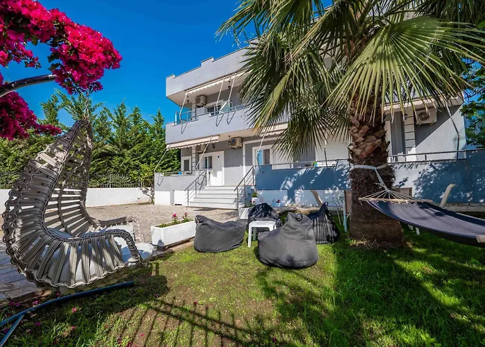 Nomia * 卡萨米尔